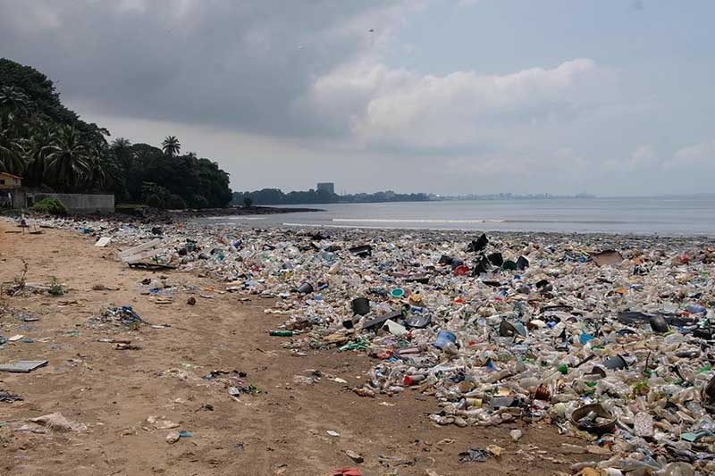 One Future Trust - Blog - Introducing the green-blue economy approach